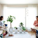 테라피하우스 이미지