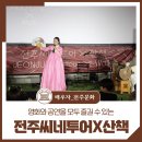 (주)폴링투어 이미지