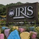 펜션아이리스 이미지