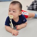 십자로약국 | 10개월 아기 잘쓴 육아템 추천 영양제, 장난감, 로션...등 (all 내돈내산)