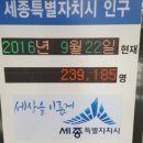 한솔동 민원실 | 세종시 인구현황 세종시청실시간 자료네요