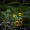 중소기업경영원 - 창원시 마산합포구 드림베이대로 201 | 중소기업경영원