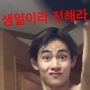 보라눈나 이미지