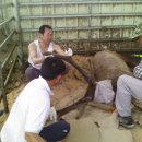 정규농장 이미지