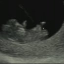 다온미래산부인과의원 이미지