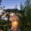 봄바스 민박 이미지