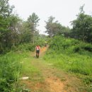 용강수정 이미지