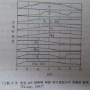 ★9.수목이식과 비료(영양제, 발근촉진제) 선택 이미지