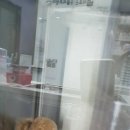 더조은동물의료센터 이미지