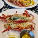 바이킹스워프 동부산점 이미지