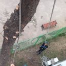 송정유치원 이미지