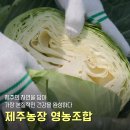 법인믿음농장