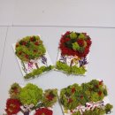 반송2동-6 이미지