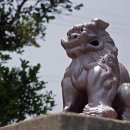 (주)동양해외관광 이미지