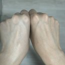 업굿개발 | 에이버 엑소좀 선크림 무기자차 톤업 선크림 후기