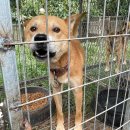 진도농장 이미지