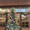 왕지1-4길 | [전남/순천] 순천카페ㅣ순천베이커리ㅣ소금빵ㅣ킨보이 더 베이크 순천호수공원점