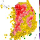 폭염을 온몸으로 느낀 날 - 기상특보 이미지