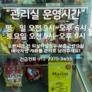 하늘마트 | 가평 글램핑 추천 │ 하늘숲글램핑, 실제 이용 후기(+픽업·가격·주차 총정리)