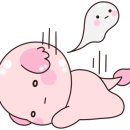 전북여자고등학교 이미지