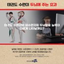 라임태권도장 이미지