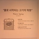 사이카츠 | 잠실돈까스 점심 맛집 파인카츠 잠실본점 솔직후기