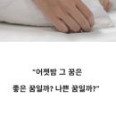 개의꿈 네이버블로그