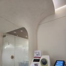 삼첩분식덮덮밥 아산점 | 은평구 나팔관조영술받고온 찐후기