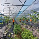 고경면행정복지센터 이미지