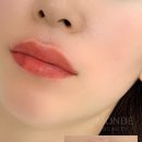 몽드브로우 | 일산파주 몽드뷰티) 여자 입술문신 작업후기