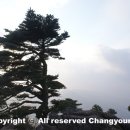 평전(여) 이미지