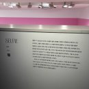 단풍 구경도 하고 서울 서촌에서 즐기는 무료 전시 <페트라 콜린스 : fangirl>, 굿즈 @대림미술관