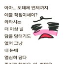 착한 고양이 이미지