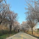 한림안성CC 네이버블로그