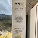 옐로우레빗츠 이미지