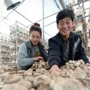 거창-마리-1 이미지