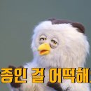 짬뽕선수 - 동대문구 한천로11길 15 | 짬뽕선수