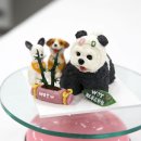더블유오티펫푸드학원