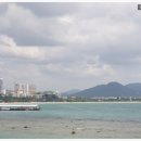 전국민원대행 행정사법인 이미지