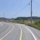 금당면-3 이미지