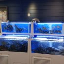 마량수산 이미지