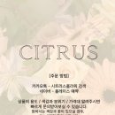 터미널꽃집 이미지