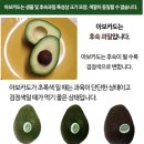 🥭 태추단감 💚 빅 샤인머스캣 🍇 머루포도 🥑 아보카도 🍐 황금배 🍑 양홍장 황도복숭아 🍊 하우스 귤 🍎 시나노골드 이미지