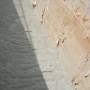 ㅇㅇ산업 이미지