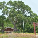 천년명품세탁 | [충청남도 서천군] 한산모시관