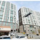 선운해광 이미지