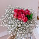 후리지아 이미지