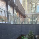 도리앤펫 이미지