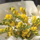 사림동104 이미지