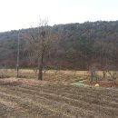 맑은조경공인중개사사무소 이미지